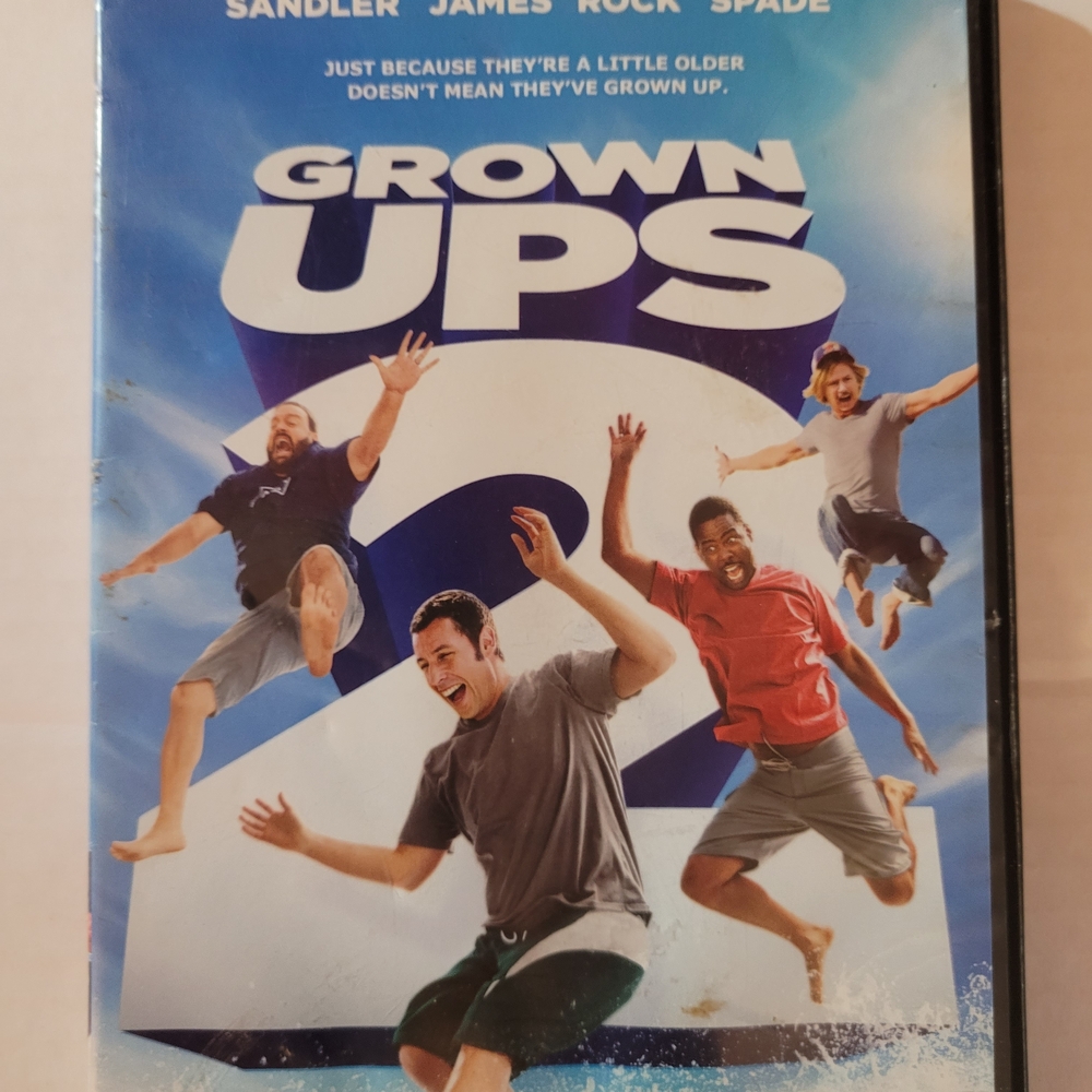 Grown Ups 2 DVD